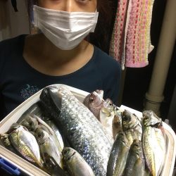 今日は、昨日より風強いいいい＾＾＾